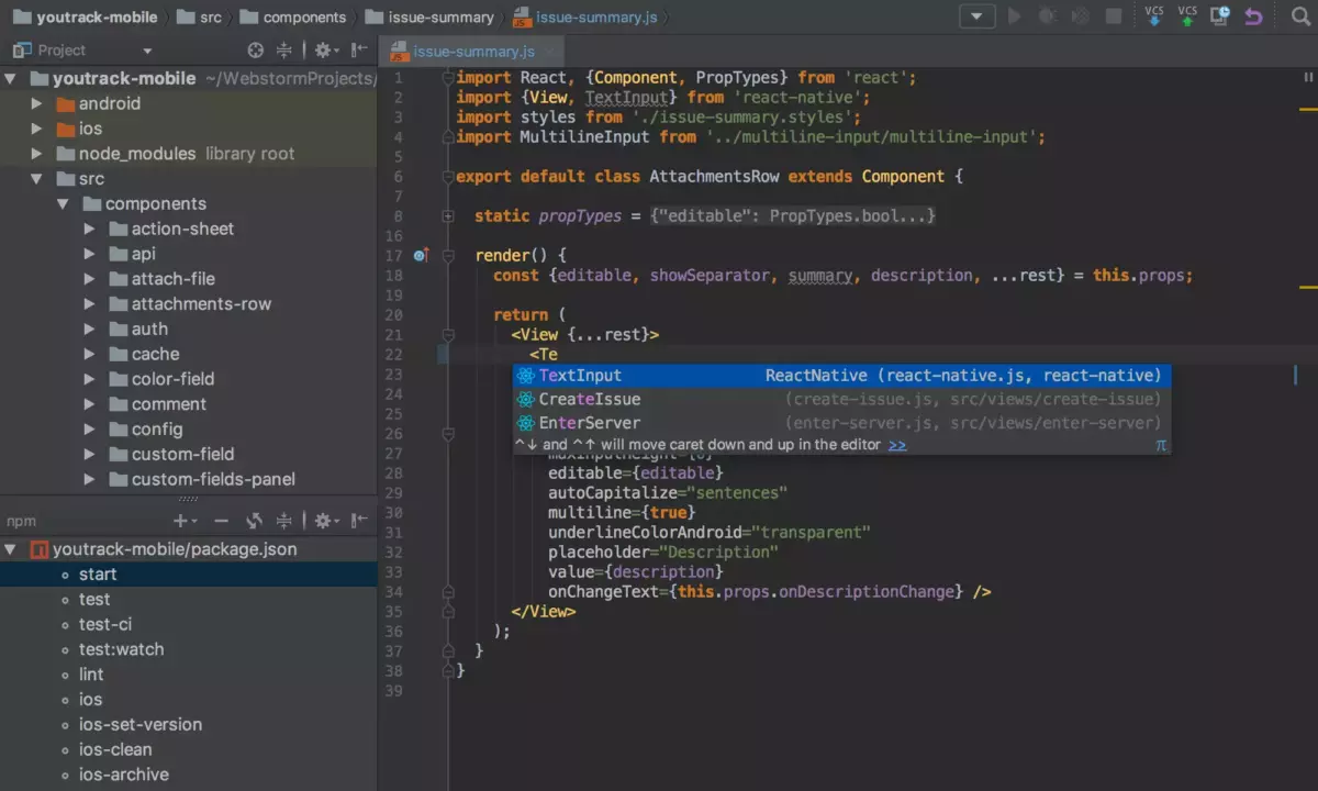 Обзор WebStorm: IDE для JavaScript и TypeScript - DDPA